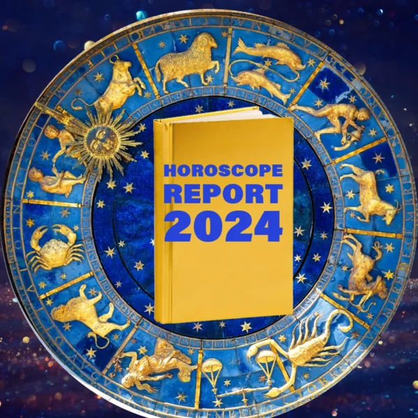 Vedic Astrology horoscope solutions horoscope report 2024