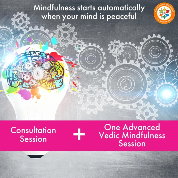 Mindfulness Consultation Advanced Vedic Mindfulness Session